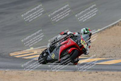 media/Jan-20-2024-CVMA (Sat) [[ddb8bc1f3d]]/Race 2 Amateur Formula Open/